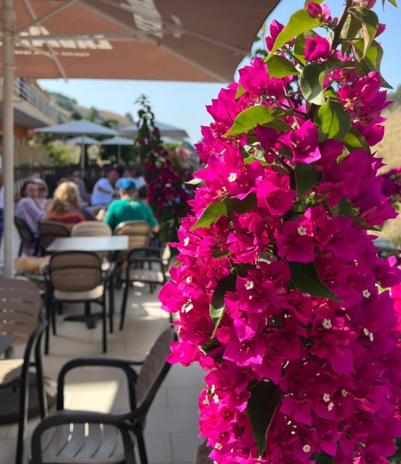 Karos Hotel Llaman Himarë Eksteriør billede
